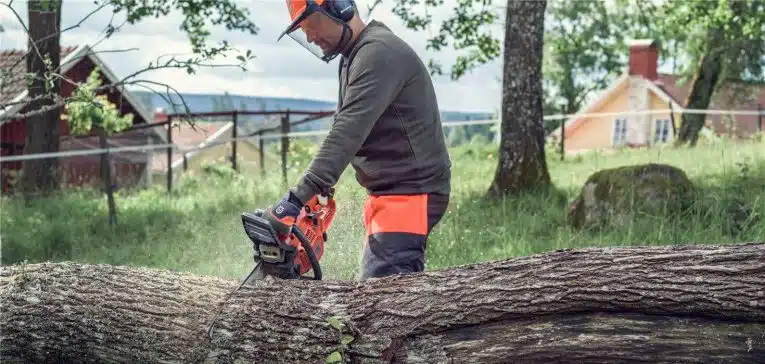 La tronçonneuse Husqvarna 445 : le meilleur choix actuellement